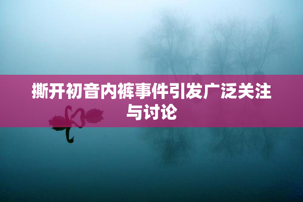 撕开初音内裤事件引发广泛关注与讨论