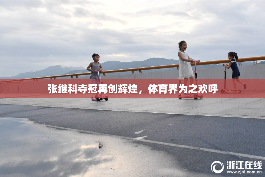 张继科夺冠再创辉煌，体育界为之欢呼
