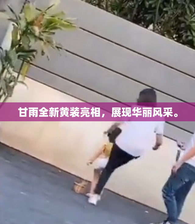 甘雨全新黄装亮相，展现华丽风采。