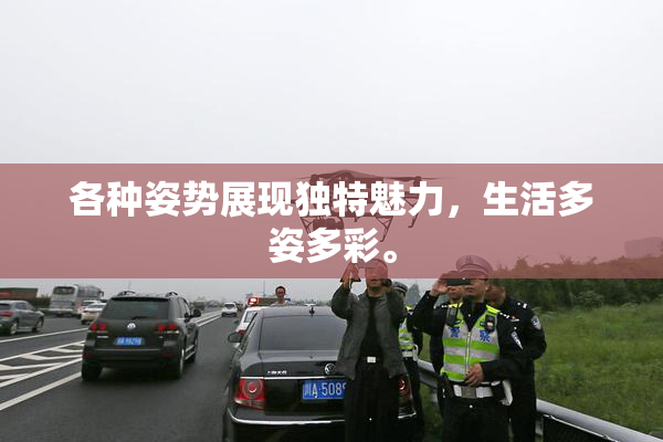 各种姿势展现独特魅力，生活多姿多彩。