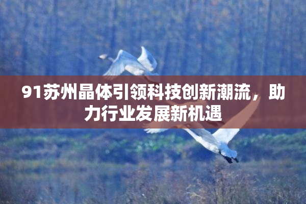 91苏州晶体引领科技创新潮流，助力行业发展新机遇
