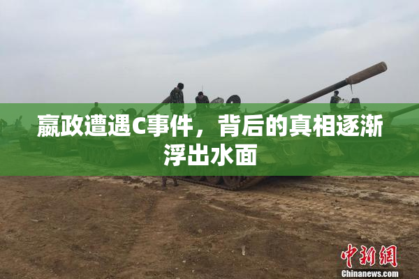 嬴政遭遇C事件，背后的真相逐渐浮出水面