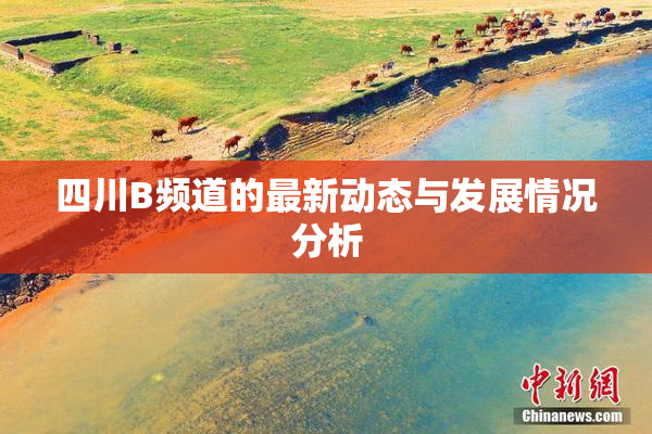 四川B频道的最新动态与发展情况分析