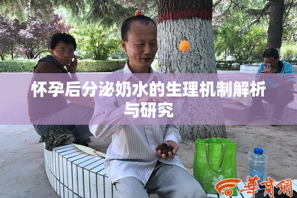 怀孕后分泌奶水的生理机制解析与研究