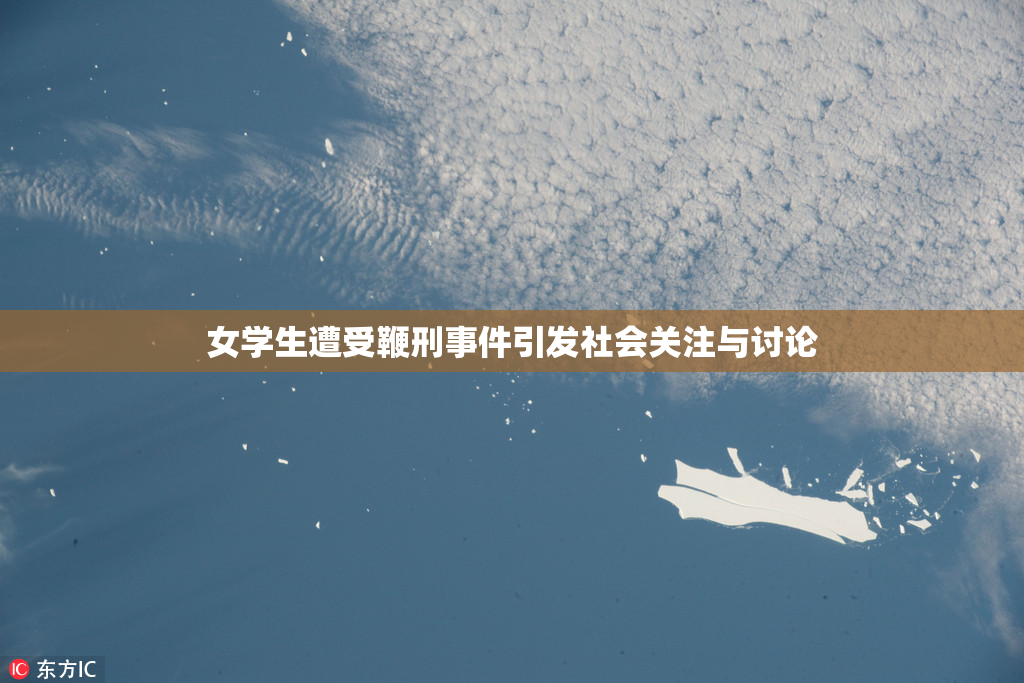 女学生遭受鞭刑事件引发社会关注与讨论