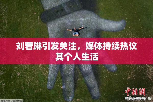 刘若琳引发关注，媒体持续热议其个人生活