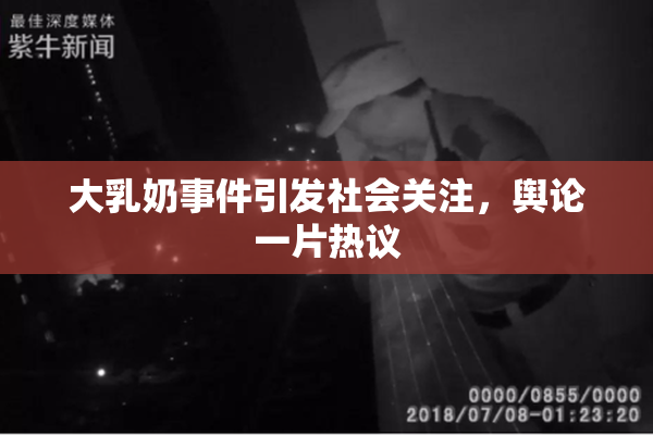 大乳奶事件引发社会关注，舆论一片热议