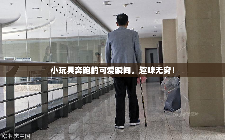 小玩具奔跑的可爱瞬间，趣味无穷！