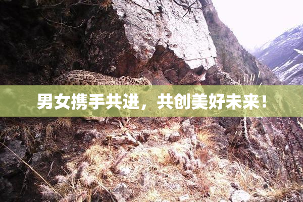 男女携手共进，共创美好未来！
