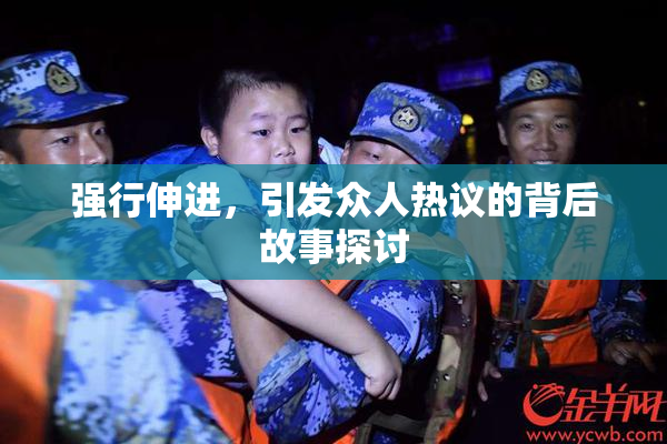 强行伸进，引发众人热议的背后故事探讨