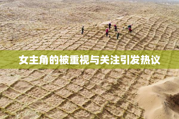女主角的被重视与关注引发热议