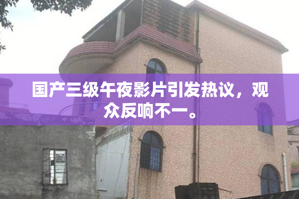 国产三级午夜影片引发热议，观众反响不一。