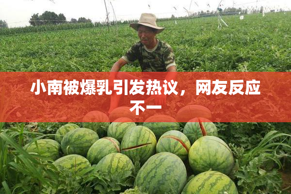 小南被爆乳引发热议，网友反应不一
