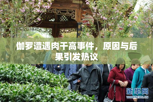 伽罗遭遇肉干高事件，原因与后果引发热议