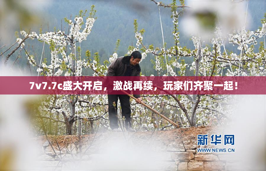 7v7.7c盛大开启，激战再续，玩家们齐聚一起！