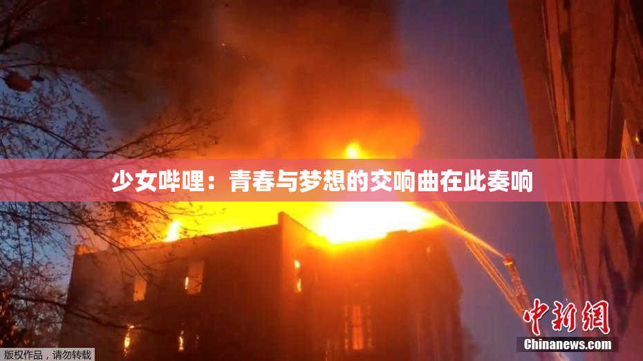 少女哔哩：青春与梦想的交响曲在此奏响