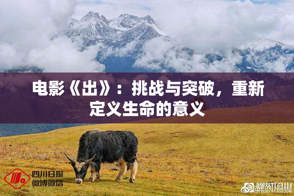 电影《出》：挑战与突破，重新定义生命的意义