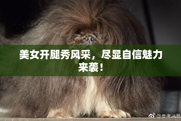 美女开腿秀风采，尽显自信魅力来袭！