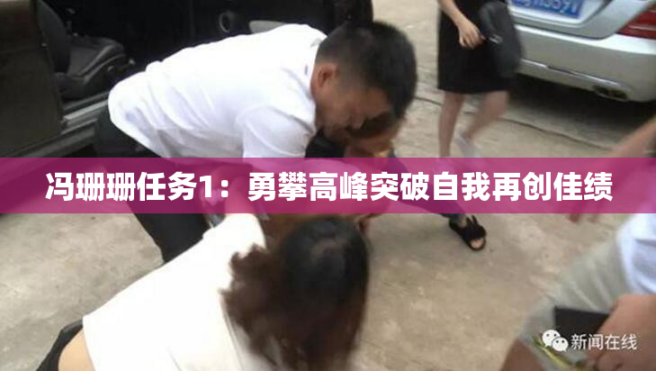 冯珊珊任务1：勇攀高峰突破自我再创佳绩