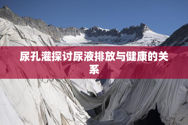 尿孔灌探讨尿液排放与健康的关系