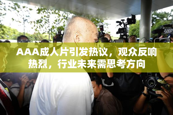 AAA成人片引发热议，观众反响热烈，行业未来需思考方向