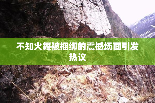 不知火舞被捆绑的震撼场面引发热议