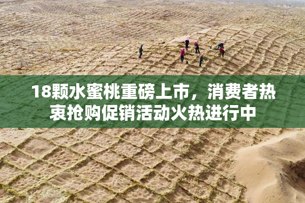 18颗水蜜桃重磅上市，消费者热衷抢购促销活动火热进行中