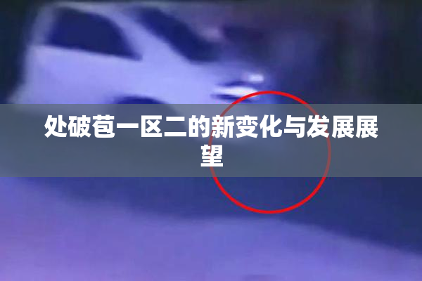处破苞一区二的新变化与发展展望