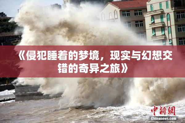 《侵犯睡着的梦境，现实与幻想交错的奇异之旅》