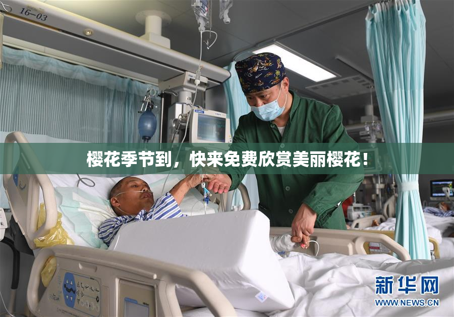 樱花季节到，快来免费欣赏美丽樱花！