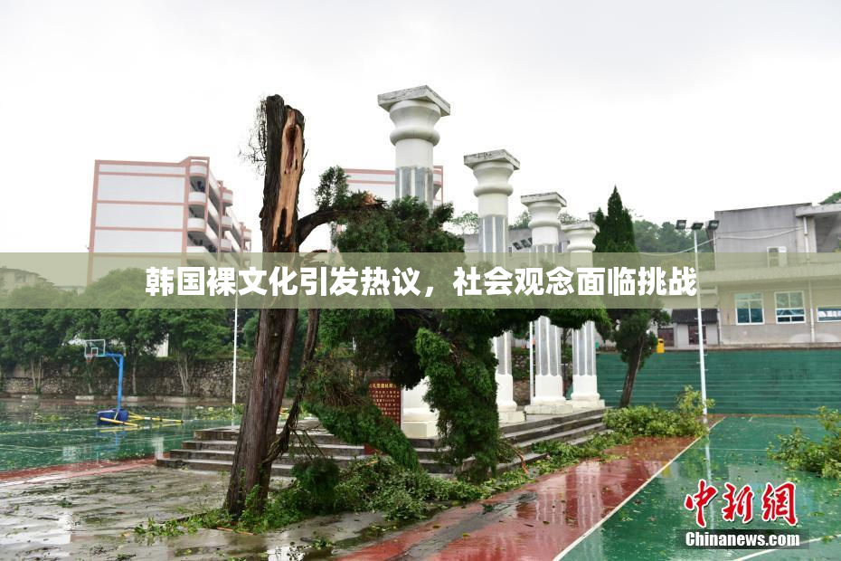 韩国裸文化引发热议，社会观念面临挑战