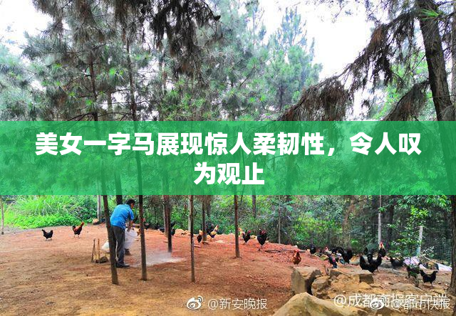 美女一字马展现惊人柔韧性，令人叹为观止