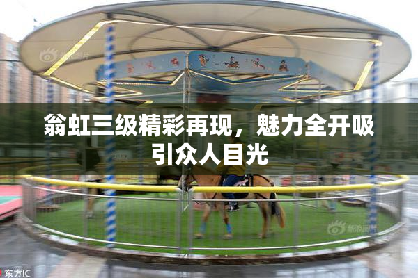 翁虹三级精彩再现，魅力全开吸引众人目光