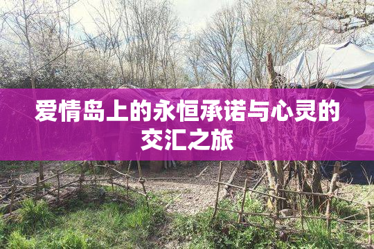爱情岛上的永恒承诺与心灵的交汇之旅