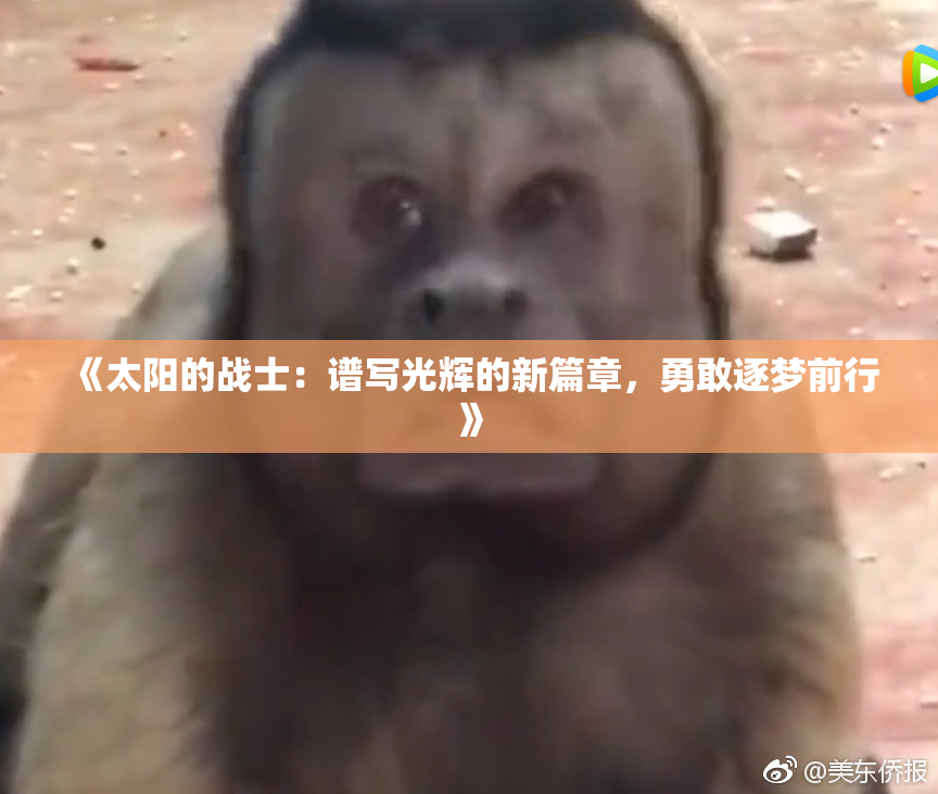 《太阳的战士：谱写光辉的新篇章，勇敢逐梦前行》