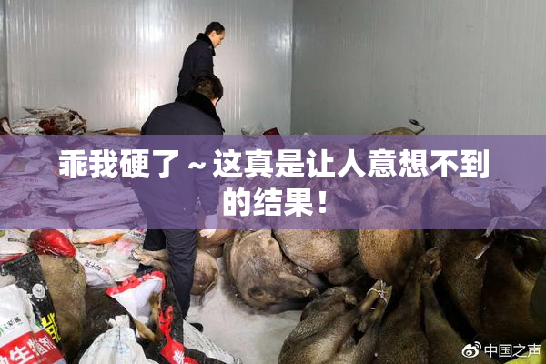 乖我硬了～这真是让人意想不到的结果！