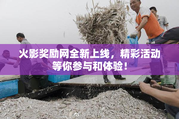 火影奖励网全新上线，精彩活动等你参与和体验！