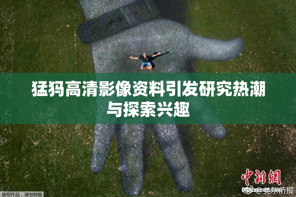 猛犸高清影像资料引发研究热潮与探索兴趣
