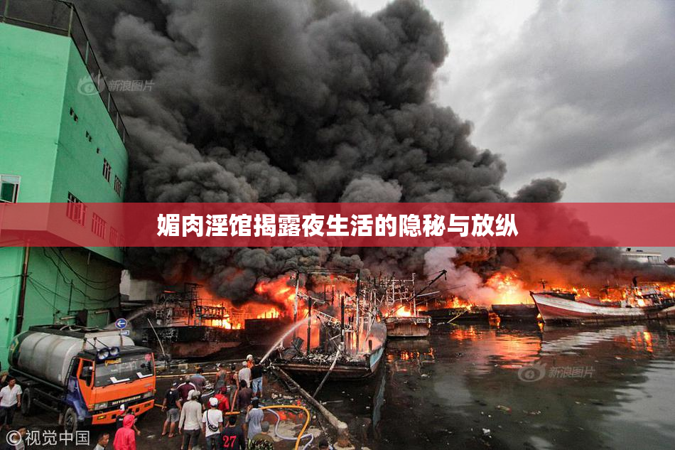 媚肉淫馆揭露夜生活的隐秘与放纵