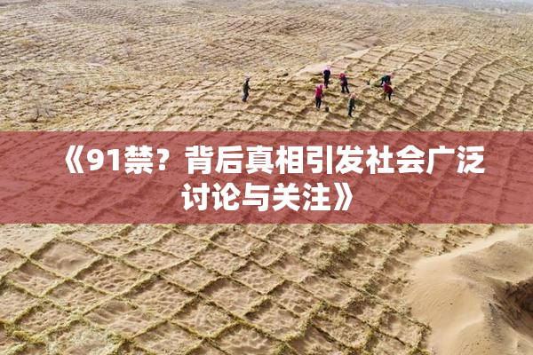 《91禁？背后真相引发社会广泛讨论与关注》