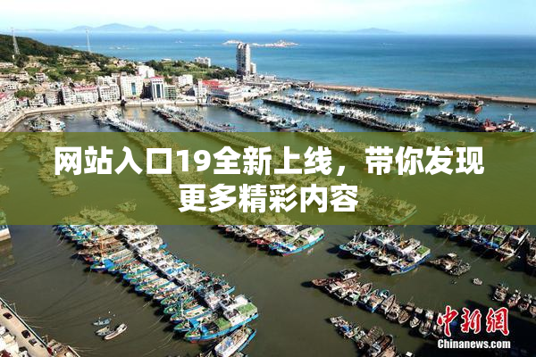 网站入口19全新上线，带你发现更多精彩内容