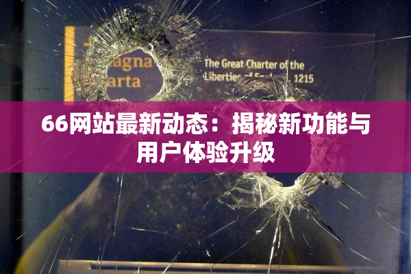 66网站最新动态：揭秘新功能与用户体验升级