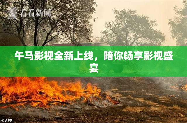 午马影视全新上线，陪你畅享影视盛宴