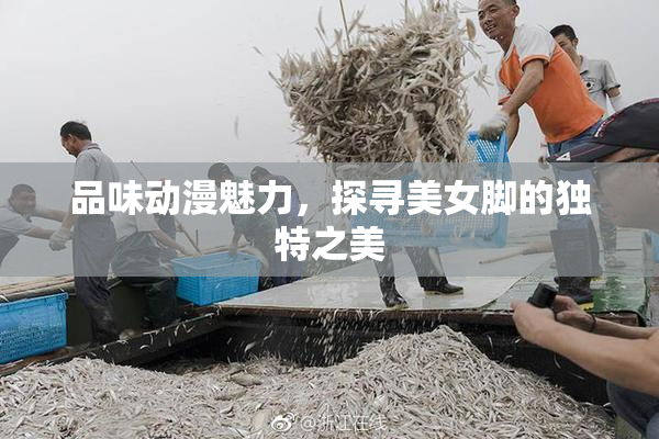 品味动漫魅力，探寻美女脚的独特之美