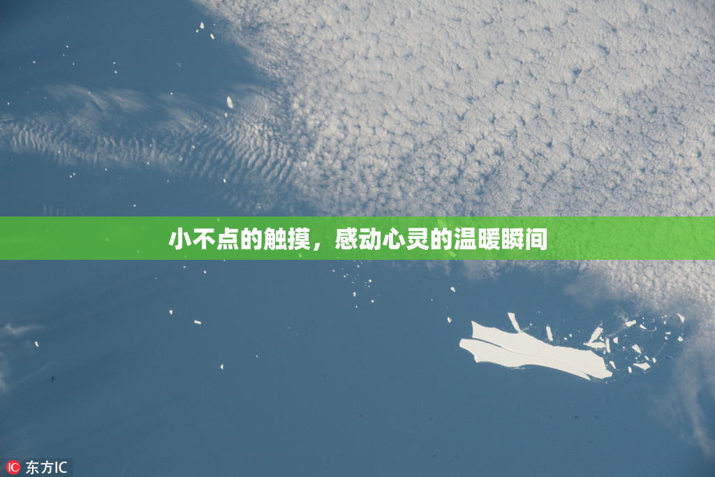 小不点的触摸，感动心灵的温暖瞬间