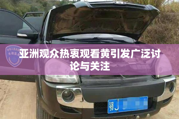 亚洲观众热衷观看黄引发广泛讨论与关注