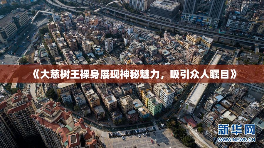 《大慈树王裸身展现神秘魅力，吸引众人瞩目》