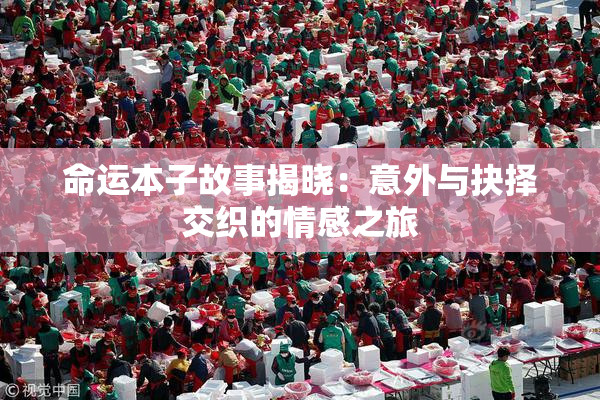 命运本子故事揭晓：意外与抉择交织的情感之旅