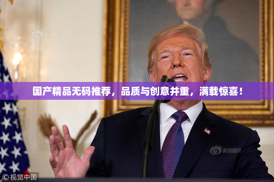 国产精品无码推荐，品质与创意并重，满载惊喜！