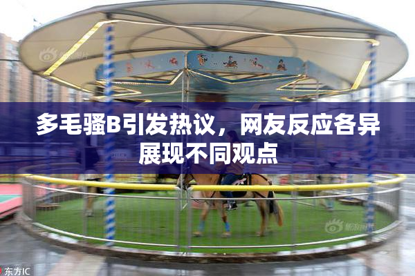 多毛骚B引发热议，网友反应各异展现不同观点